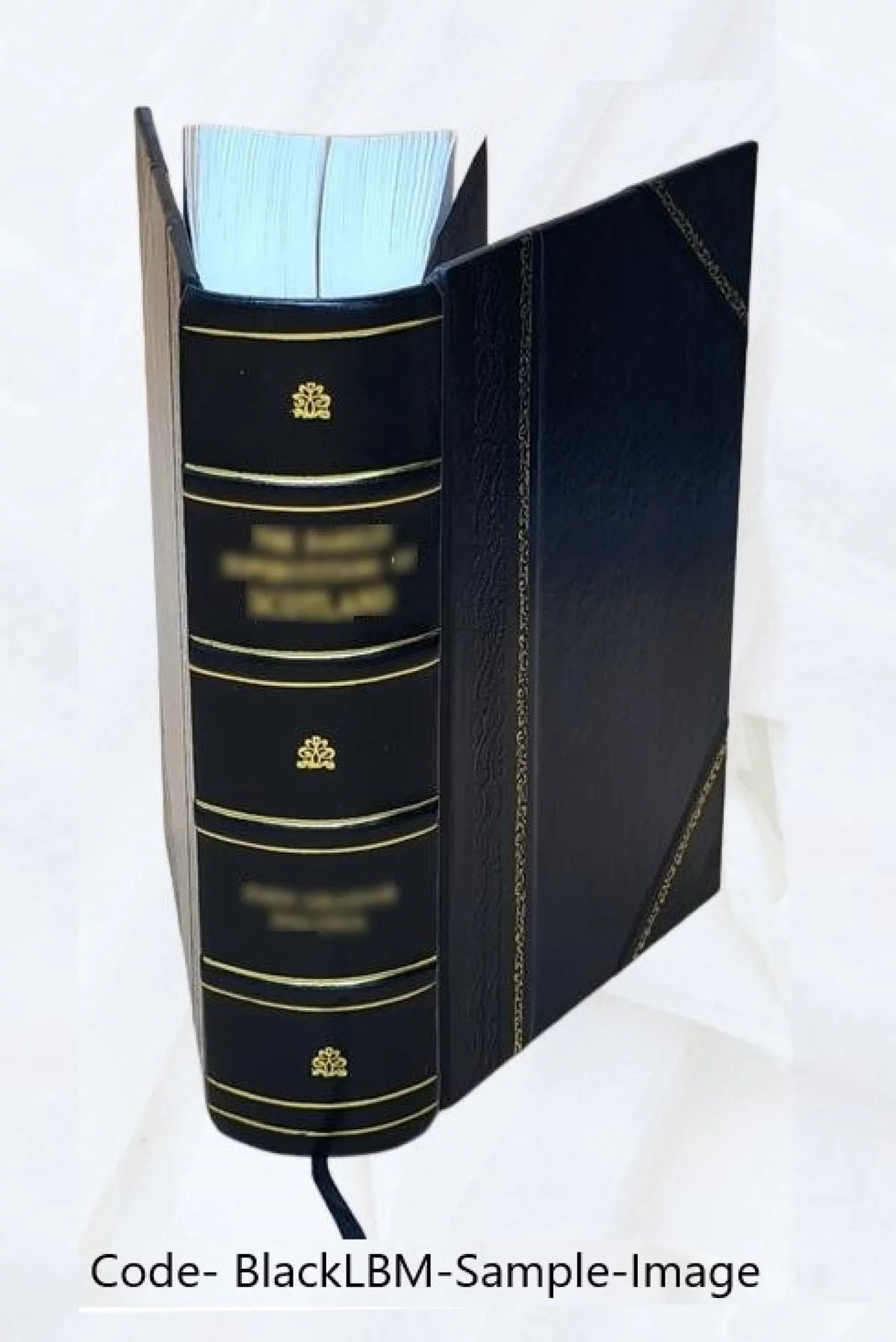 t.4 Volume 1870 Bound] omnia Opera [Leather