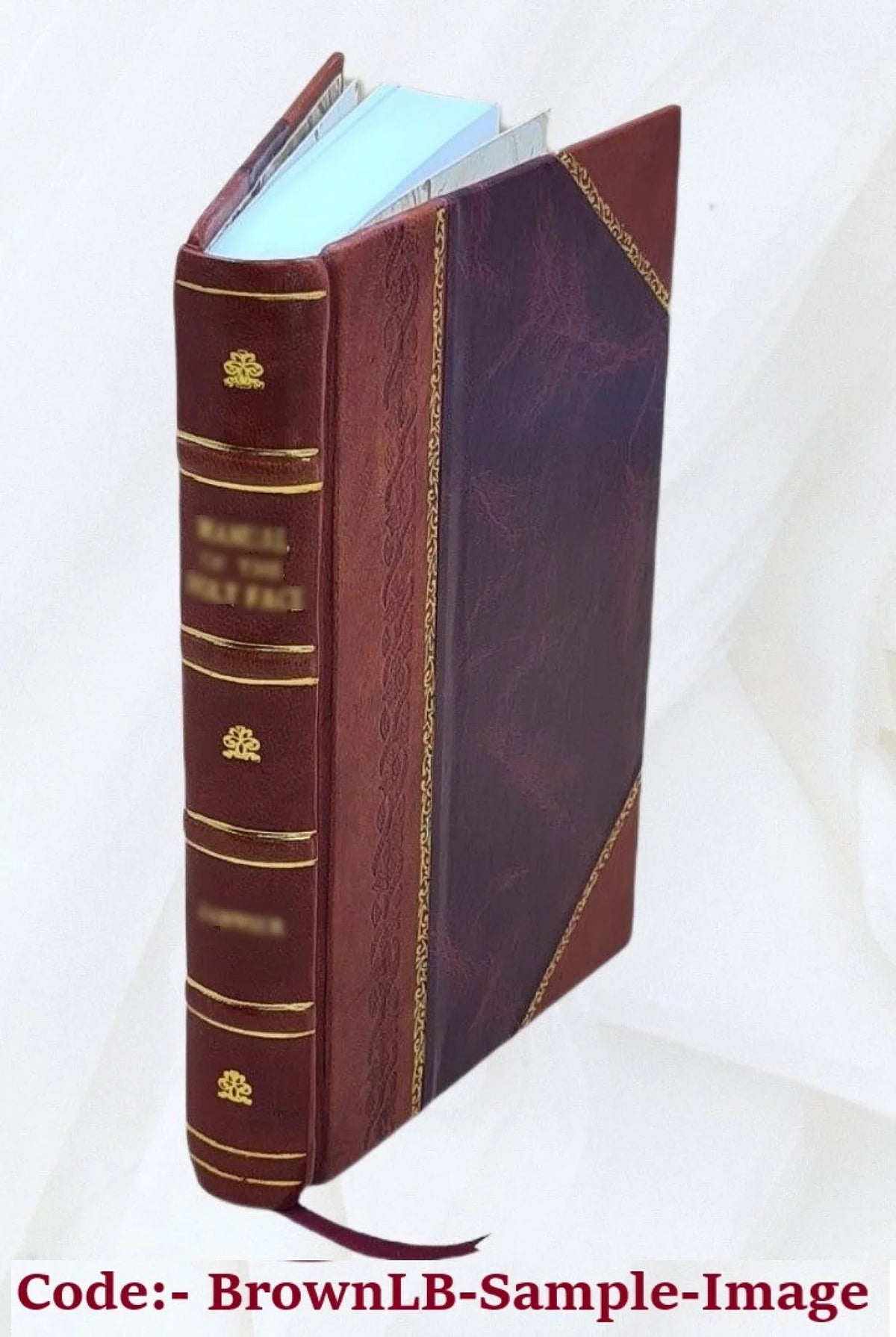 2022 Devonshire Picturesque [Leather South Bound]
