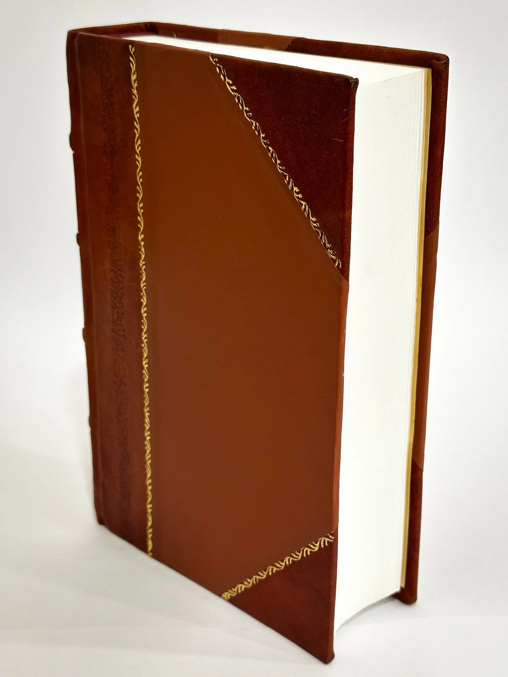 Legum Cura Interpretibus / [Leather Bound] D.G. Panciroli (1721) De (1721) Hoffmanni Claris Guido