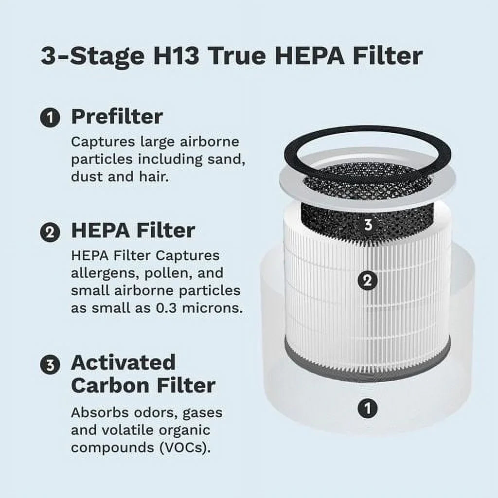 3-1 HEPA + Replacement DH + HEPA HEPA Lifelabs Aaira Filter Sciaire and